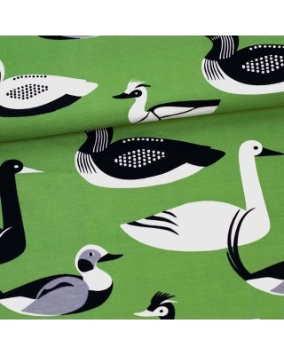 Waterbirds organic jersey, forest - grey