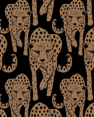 Cheetah collegetyg borstad, kinuski - svart