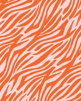 Zebra organic jersey, soft pink - orange