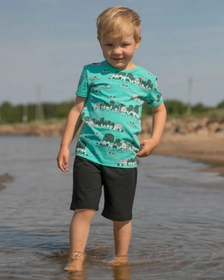 VISA t-shirt, Archipelago, turkos - mörk grön