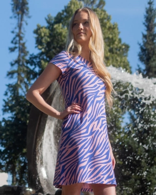 SOINTU dress, Zebra, light pink - blue