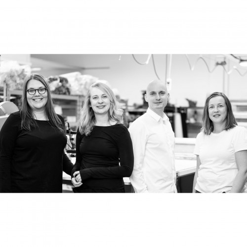 Finsket Design Studio